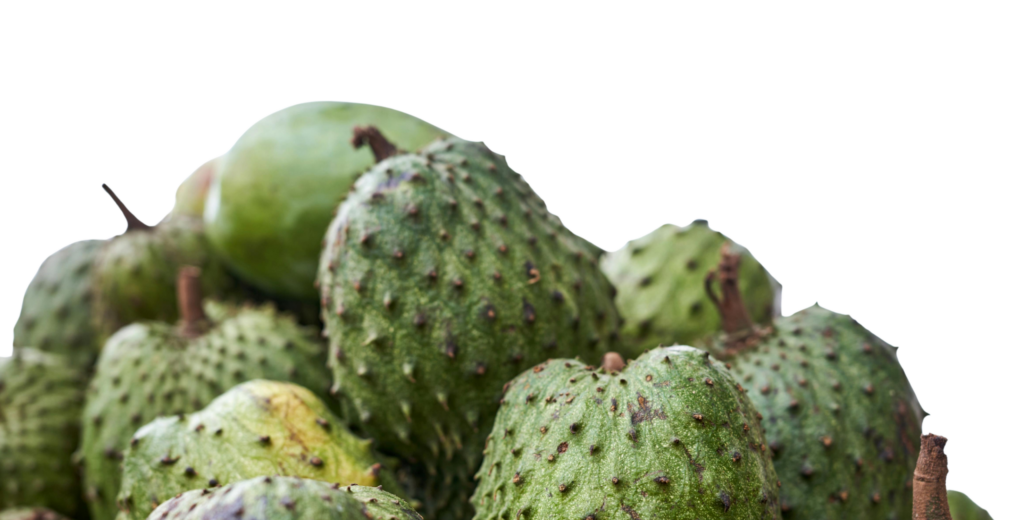 guanabana 11